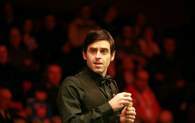 他们可能更 他们可能更