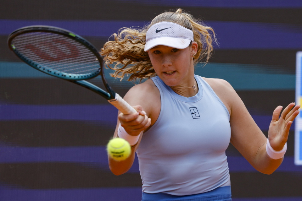 虎形成鲜明 虎形成鲜明