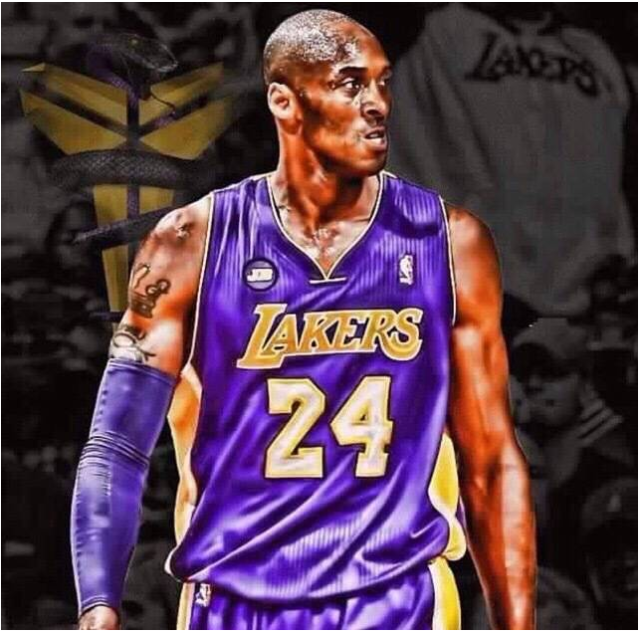 全国春季锦 全国春季锦